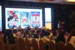 Vietnamese animation needs powerful, iconic characters: Japanese expert