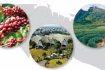 Buon Ma Thuot Coffee Festival 2023