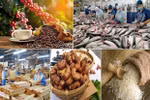 Agro-forestry-fishery exports hit 6.28 billion USD in January-February