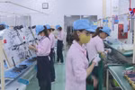 National economy bouncing back: experts