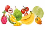Fruit & veggie exports in first seven months surpass all of 2022