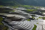 Terraced fields in Sa Pa during wet season