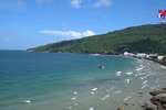 Hon Son Island striving to become safe, friendly destination