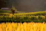 Heritage photos unveil Vietnam's hidden charm (Part 2)