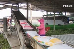 Vietnamese rice now top quality on the international market