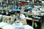 Dong Nai: FDI disbursement meets annual target