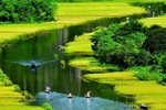 Red River Delta provinces move to promote agritourism