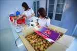 Irradiation centre to open in the north to serve fruit export: minister