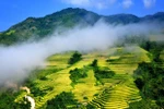 Culture Week held to celebrate 120 years of tourism in Sapa