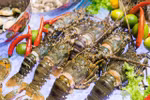 Chinese market favours Vietnamese lobster but prices are rocky