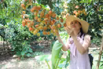 Tra Vinh province develops agricultural tourism