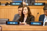 Conventional ammunition management framework must respect international law, UN charter: official