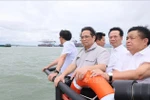 HCM City's Can Gio district should be turned into city in forest: PM