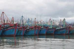 Vietnam Fisheries Trade Union raises fishermen's awarness on combatting IUU fishing