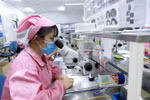 Vietnam sees improvements in FDI attraction: investor