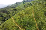 Vietnam, WB enhance partnership in climate change response for green growth