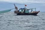 Quang Ninh to seize vessels involved in illegal fishing from September