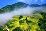 Vietnamese destinations continue earning int’l recognition