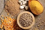 Vietnam spends over 2 billion USD on animal feed, material imports in 5 months
