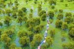 Mekong Delta has 10 more typical tourist destinations