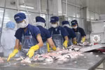 Vietnam urged to ensure exports to Asian, African markets in 2023