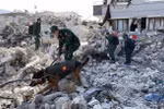 More earthquake victims found by Vietnamese rescue teams in Turkey