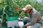 VinaCapital Ventures pours 1 million USD into agritech startup