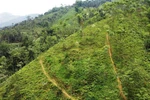 Vietnam, WB enhance partnership in climate change response for green growth