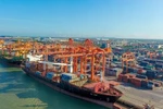 HCM City approves research project for building Can Gio int’l transshipment port