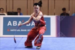 Vietnam wushu team bags another gold medal