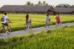 Vietnam needs new regulations to develop agri-tourism real estate: experts