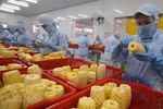 Fruit, vegetable exports see high potential, tough requirements