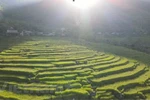 Pu Luong – a paradise amidst jungle for travellers on budget