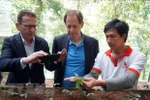 Foreign experts inspect Ngoc Linh ginseng cultivation in Quang Nam