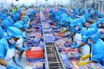 HCM City works to improve agro-forestry-aquatic products’ quality
