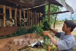 Multidimensional poverty rate to reduce to 2.93% at end of 2023