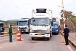 China's reopening good news for Vietnamese exporters