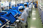 Singaporean entrepreneurs highly value cooperation potential with Vietnam