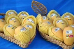 Vietnam ranks third in exporting mango to RoK 