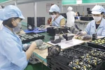 Bac Giang province logs highest GRDP growth nationwide