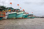 Ca Mau works hard against IUU fishing