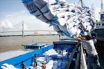 Export of rice, fruits, vegetables spike in H1