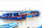 Quang Binh takes drastic measures to fight IUU fishing
