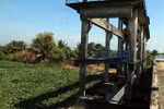 Saltwater intrusion forecast to come early in Mekong Delta