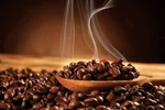 Seminar seeks to improve value of Vietnamese coffee