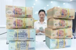 Low bank rates fail to stimulate strong capital influx into stock market