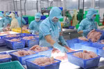 Tra fish exports predicted to recover from third quarter