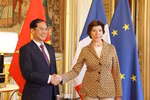 Vietnam, France wish to elevate ties to greater height