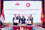 Vietnam, Singapore reinforce economic connectivity in five pillars