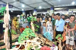 A booth at TechFest Quang Nam 2023. (Photo: baoquangnam.vn)